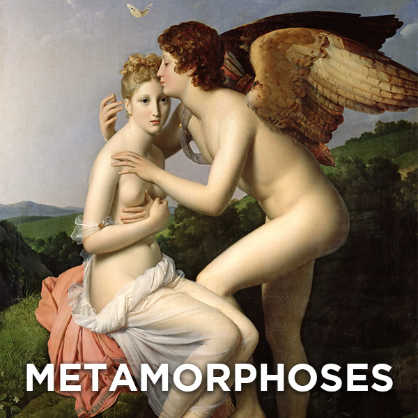 A painting of Cupid kissing Psyche on the forehead. The word METAMORPHOSES is at the bottom.